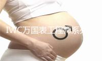 IWC万国表工程师系列IW357001腕表 价格